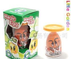 迷你植物无土栽培 蛋壳魔土打造创意礼品花卉