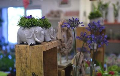 日本农民创业致富新点子 礼品花卉销售的启示与借鉴