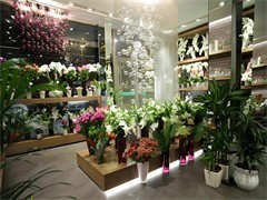 天津礼品花卉销售 以花为礼，传递温情与祝福