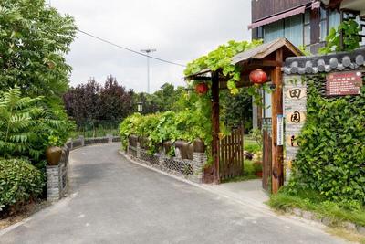 践行“两山”理念，大云镇以花卉经济激活村集体发展新动能