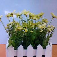 中国供应商 礼品花卉销售的厂家价格优势与市场机遇