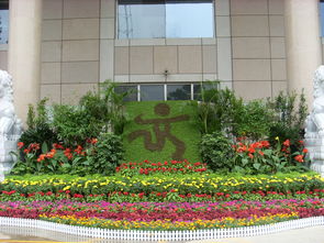 盆花送 免费送到家的园艺与鲜花直销服务